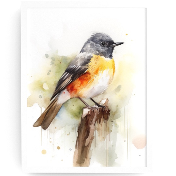 Creative Path Studios Other - Watercolor American Redstart Bird Print Unframed - Wall Art Bird Illustration
